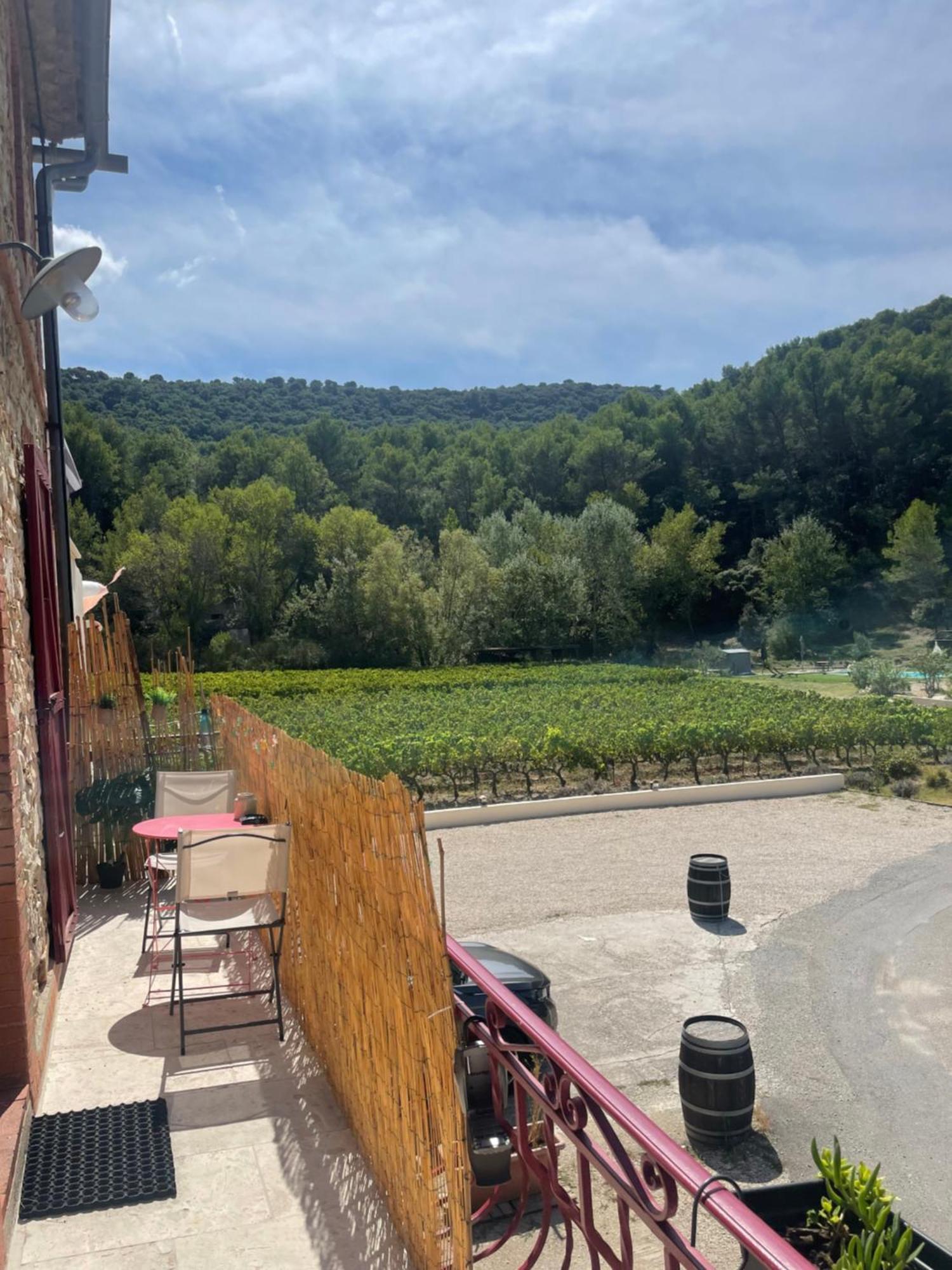 Appartement Au Calme Au Milieu Du Vignoble De ジゴンダス エクステリア 写真